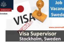 visa supervisor